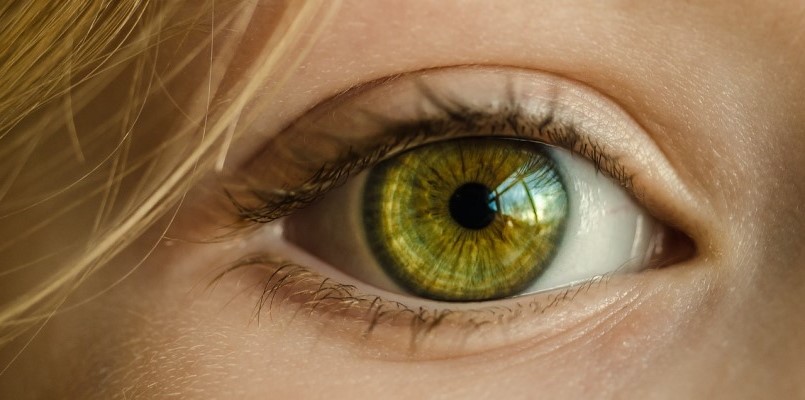 alergiczne choroby oczu