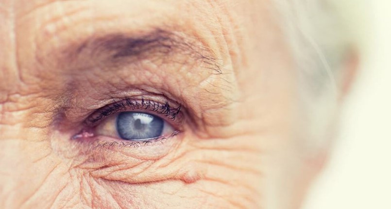 katarakta operacja zacmy