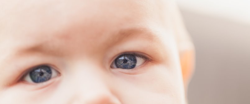 zacma starcza dzieci